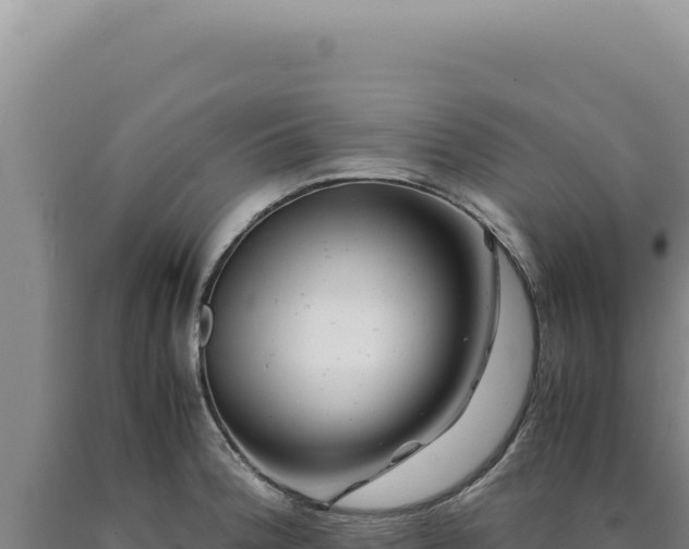 X0000090761188200707271459