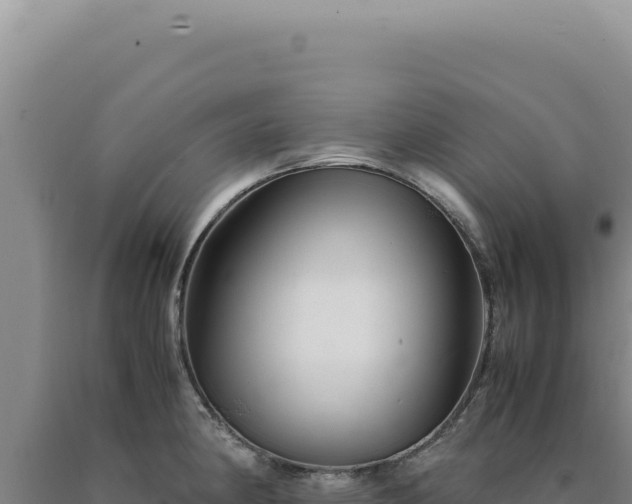 X0000090761190200707271459