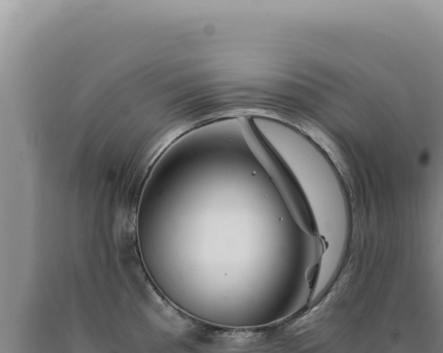 X0000090761193200707271459