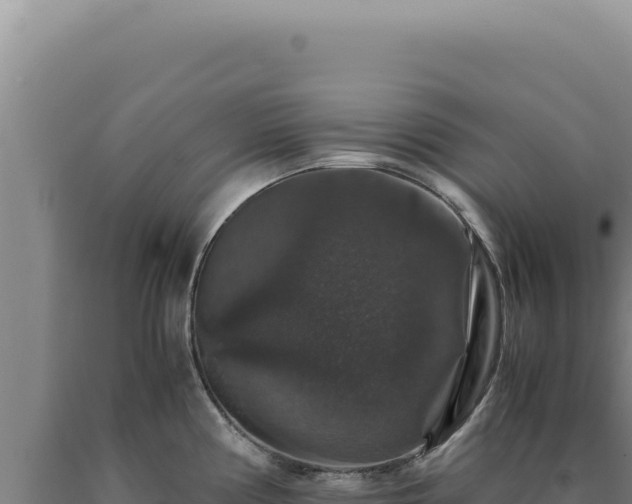 X0000090761194200707271459