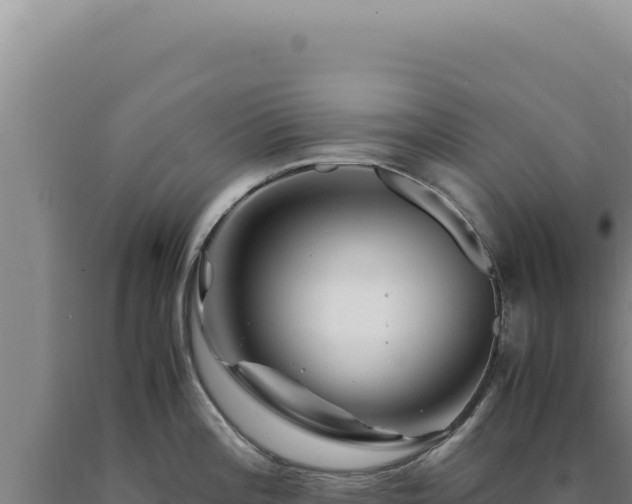 X0000090761196200707271459