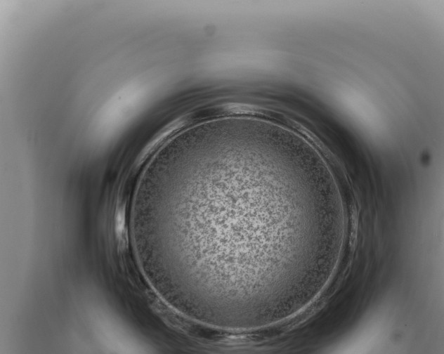 X0000090761198200707271459