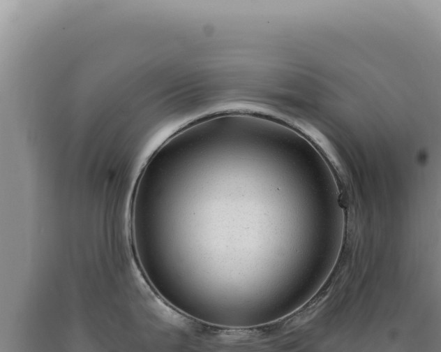 X0000090761199200707271459