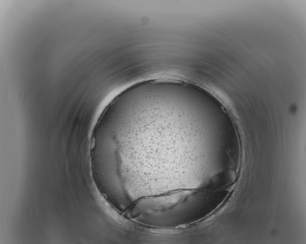 X0000090761200200707271459