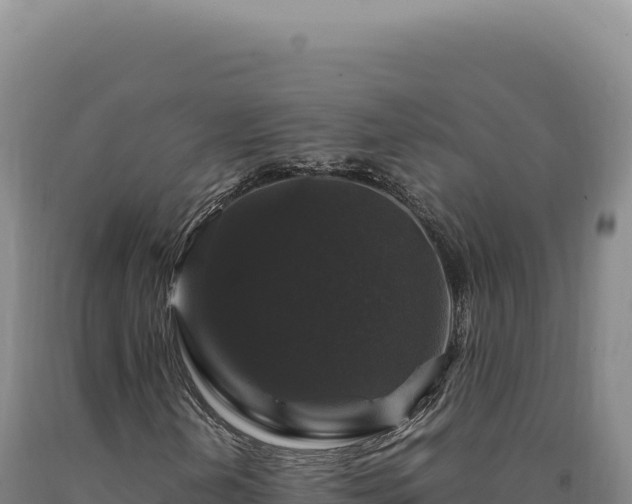 X0000090761202200707271459