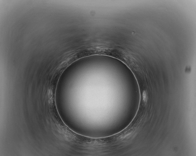 X0000090761203200707271459