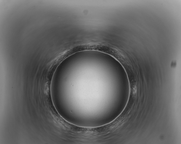 X0000090761204200707271459