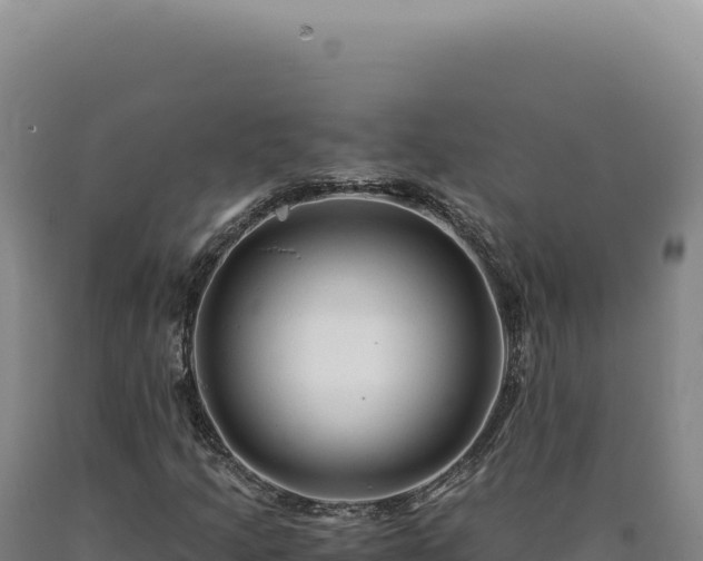 X0000090761205200707271459