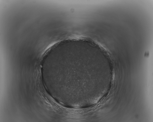 X0000090761206200707271459