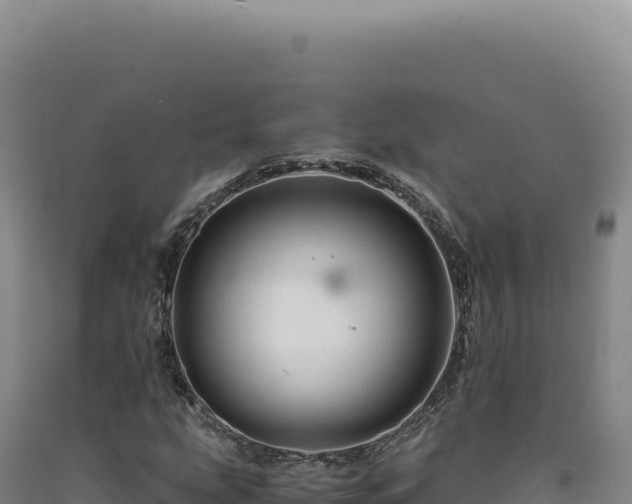 X0000090761207200707271459