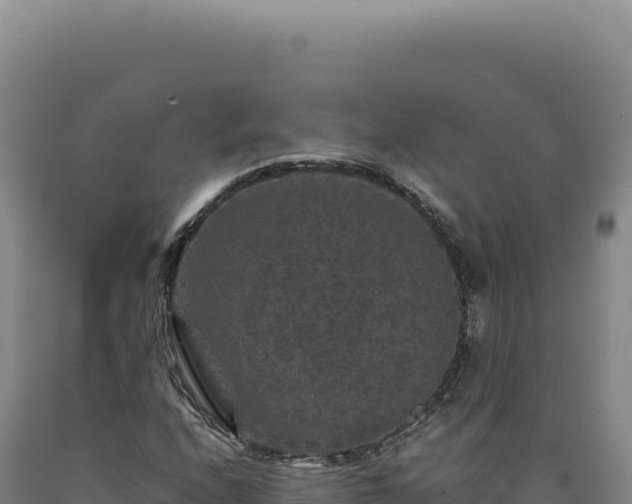 X0000090761208200707271459