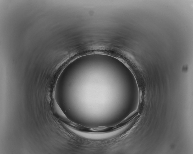 X0000090761209200707271459