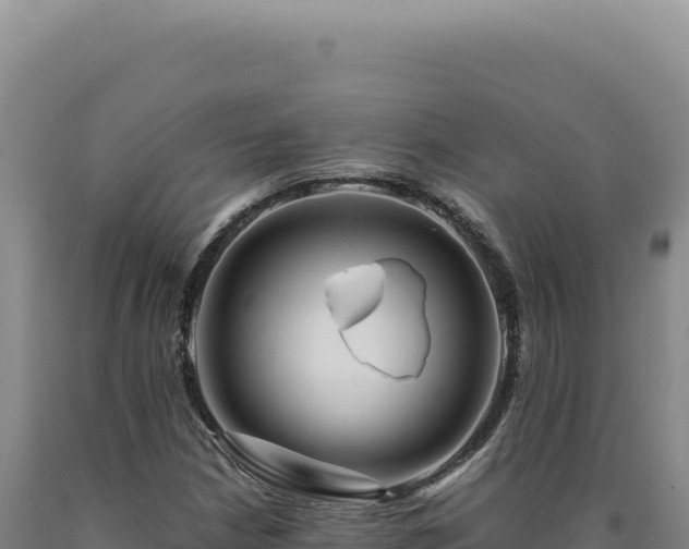 X0000090761210200707271459