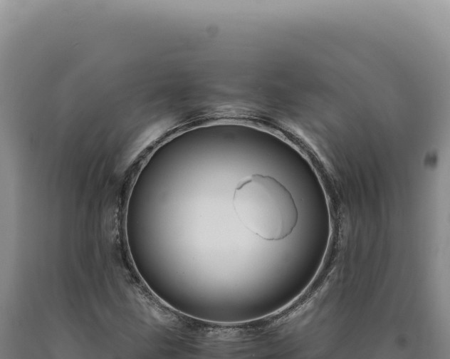 X0000090761211200707271459