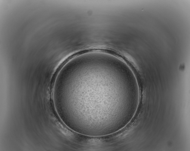 X0000090761212200707271459