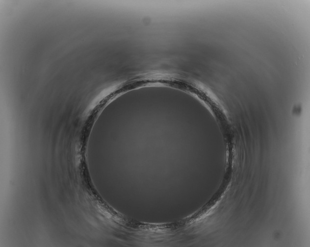 X0000090761213200707271459