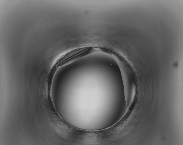 X0000090761214200707271459