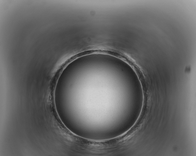 X0000090761215200707271459