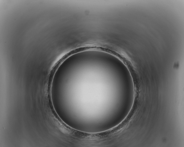 X0000090761216200707271459