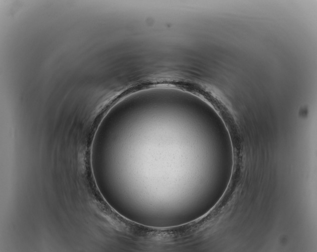 X0000090761217200707271459