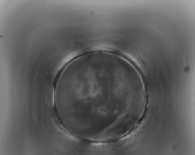 X0000090761219200707271459