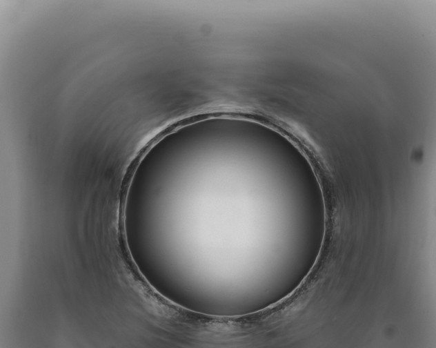 X0000090761220200707271459