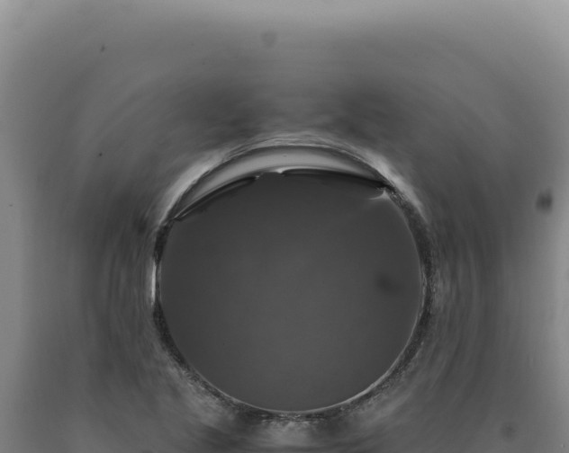 X0000090761221200707271459