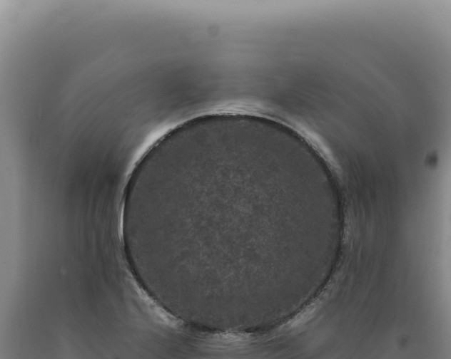 X0000090761224200707271459