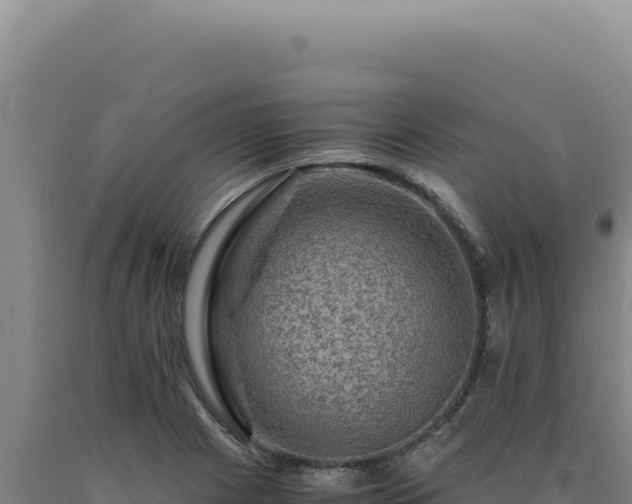 X0000090761225200707271459