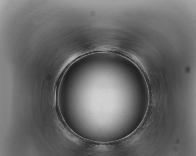 X0000090761227200707271459