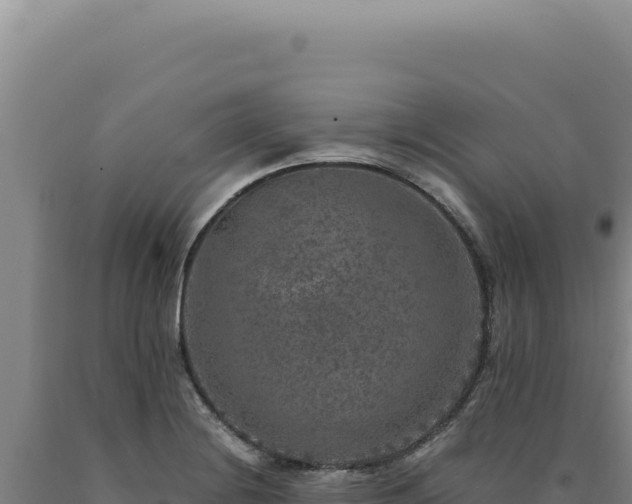 X0000090761228200707271459