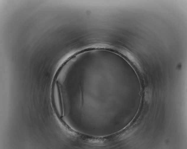 X0000090761229200707271459