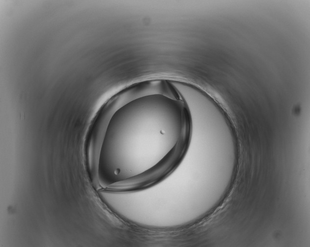 X0000090761230200707271459