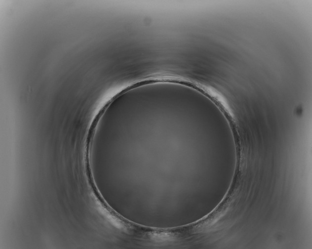 X0000090761231200707271459