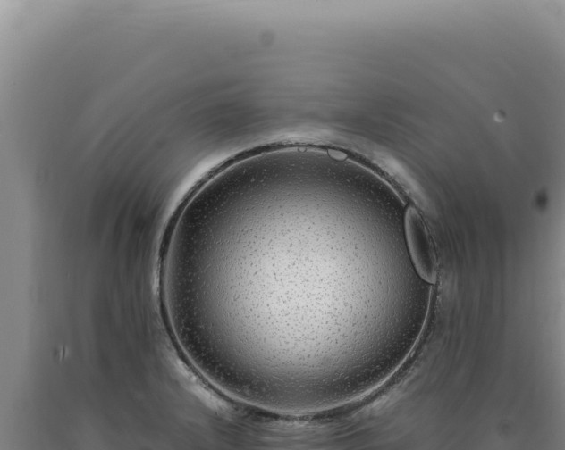 X0000090761232200707271459