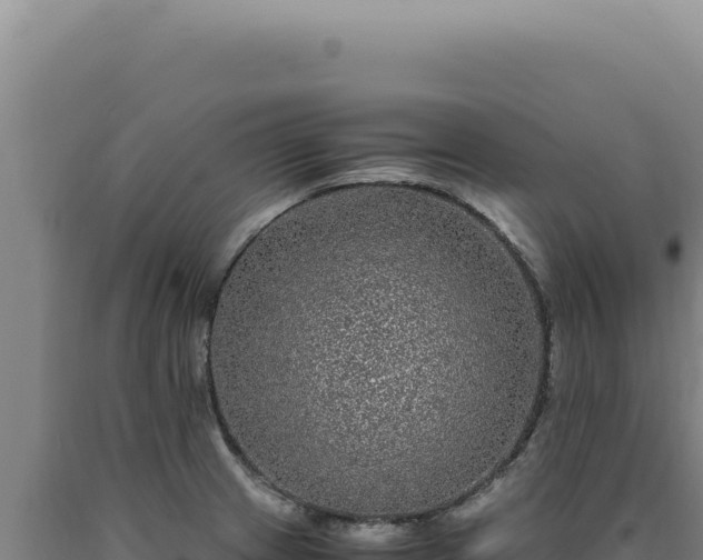 X0000090761233200707271459