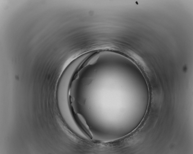 X0000090761234200707271459