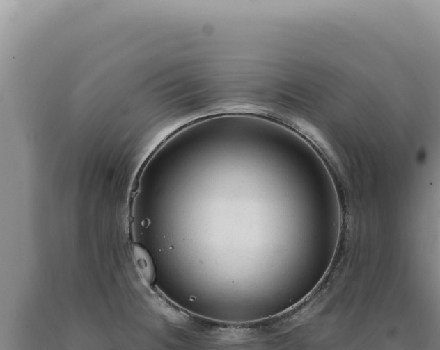 X0000090761236200707271459