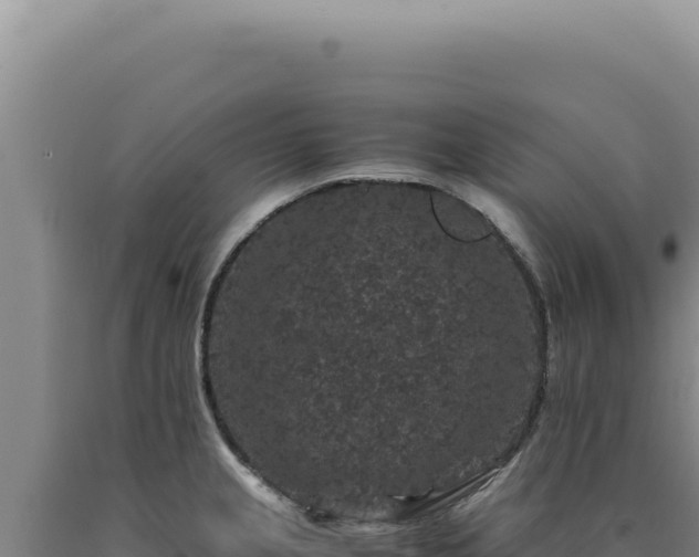 X0000090761237200707271459