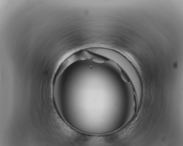 X0000090761238200707271459