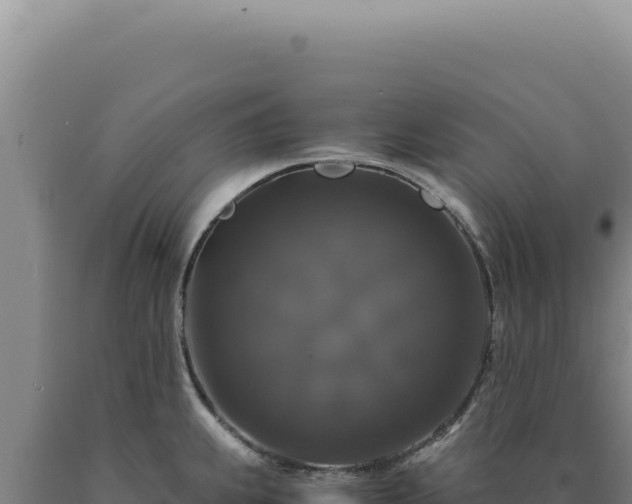 X0000090761239200707271459