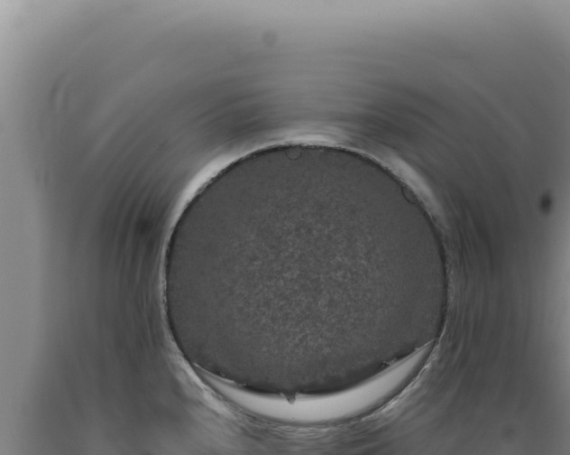 X0000090761240200707271459