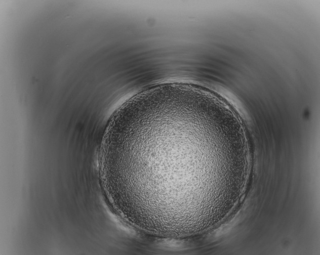 X0000090761241200707271459