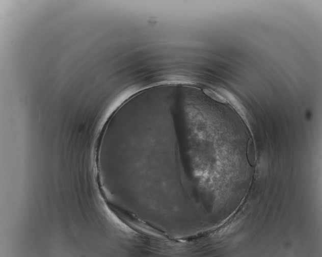 X0000090761243200707271459