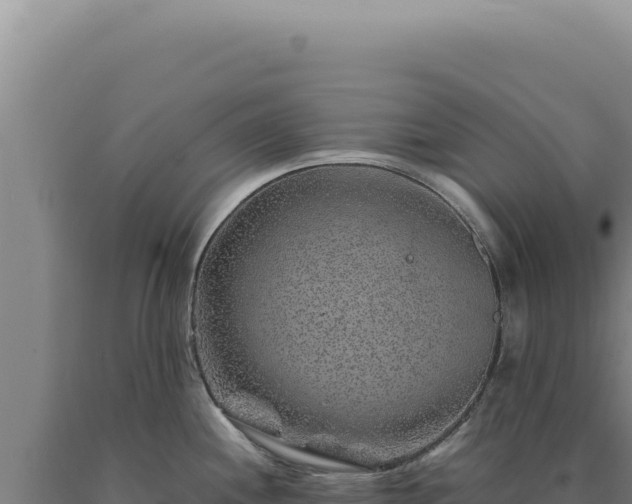 X0000090761244200707271459