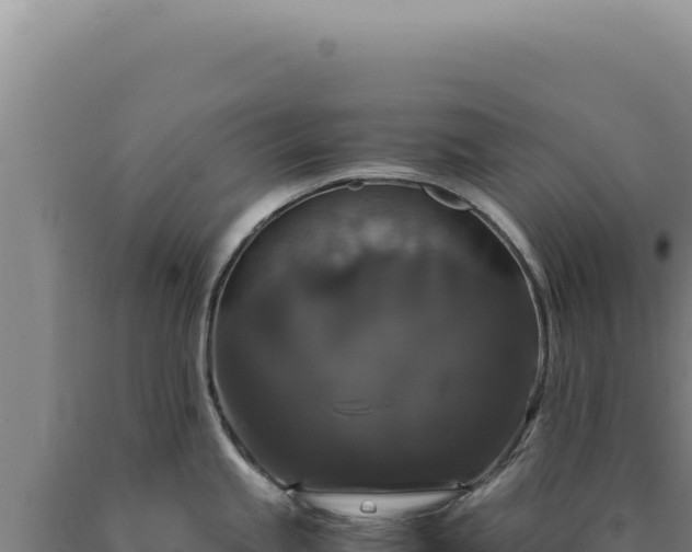 X0000090761245200707271459