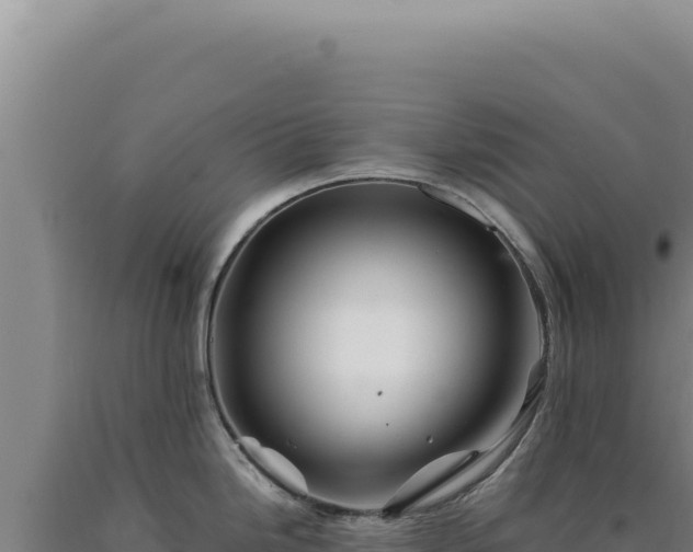 X0000090761246200707271459