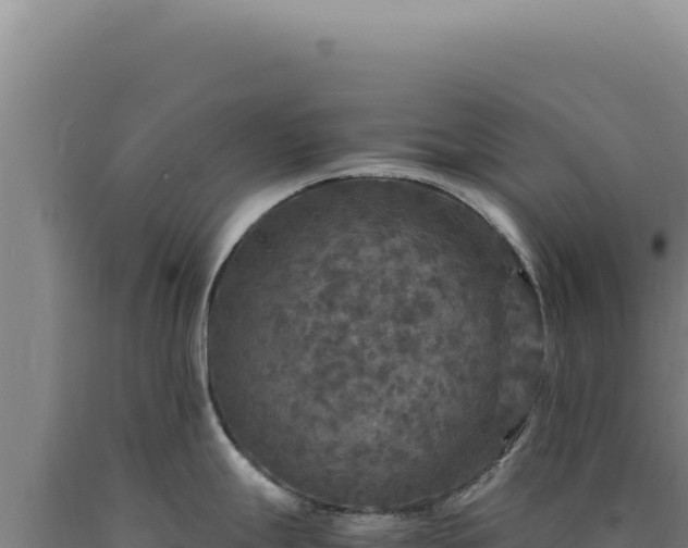 X0000090761247200707271459