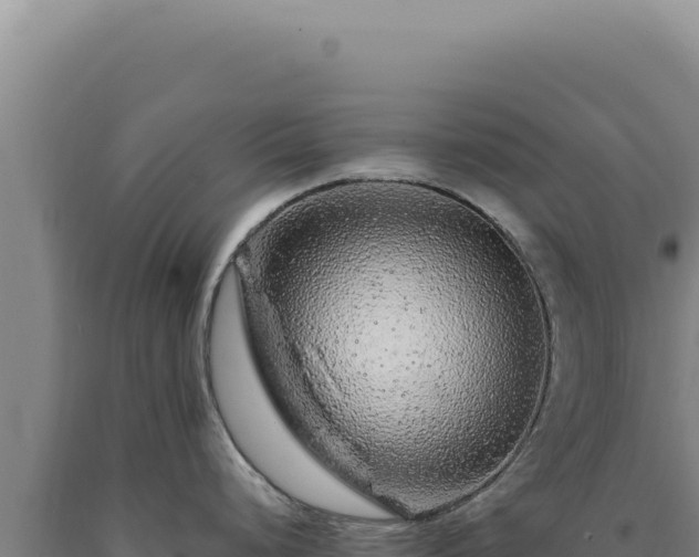 X0000090761248200707271459