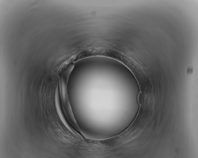 X0000090761250200707271459